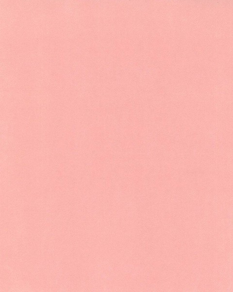 Hattan Palette | 20 Peaches